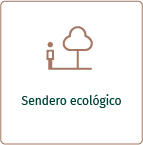 Ícono de sendero con árbol que representa el sendero ecológico de Termales El Otoño, hotel rodeado de naturaleza en Manizales