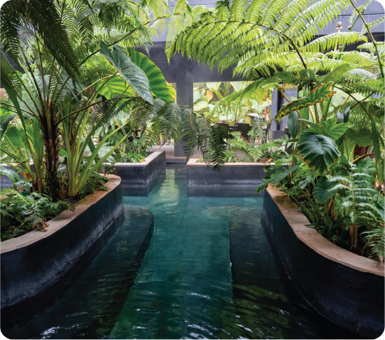 Nature trails and thermal pool at a hot springs hotel near Manizales, Colombia.