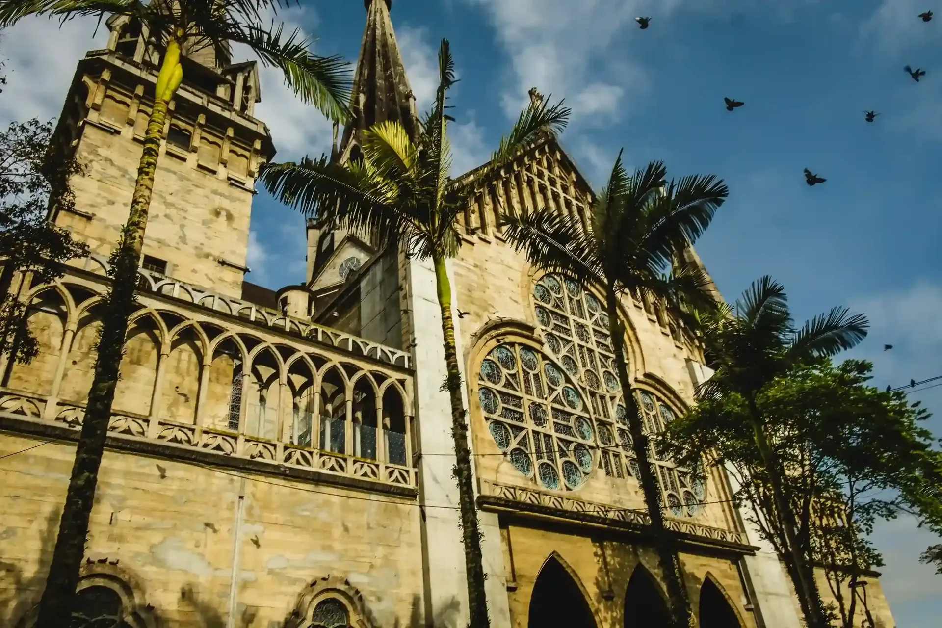 Fachada de la Catedral Basílica de Manizales entre palmeras, plan cultural en viajes a Manizales y el Eje Cafetero.