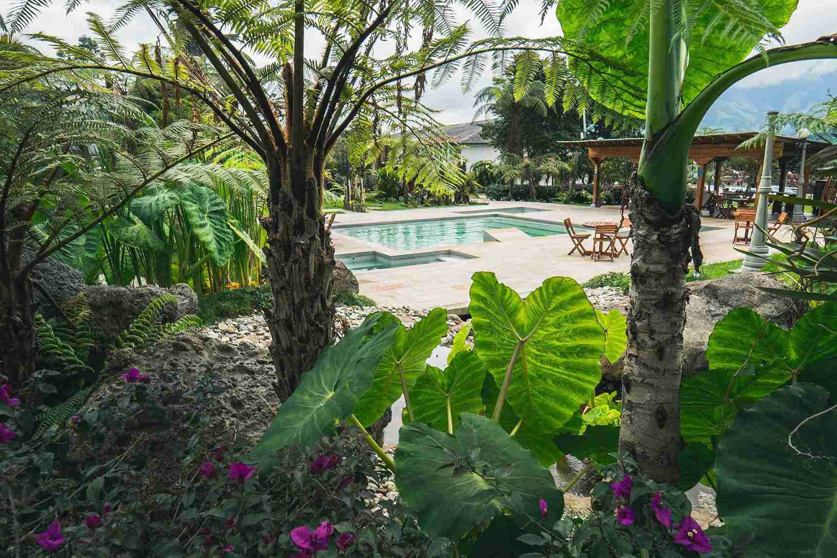 Piscina rodeada de vegetación tropical y zona de descanso en Termales El Otoño, termales cerca a Manizales para relajarte.