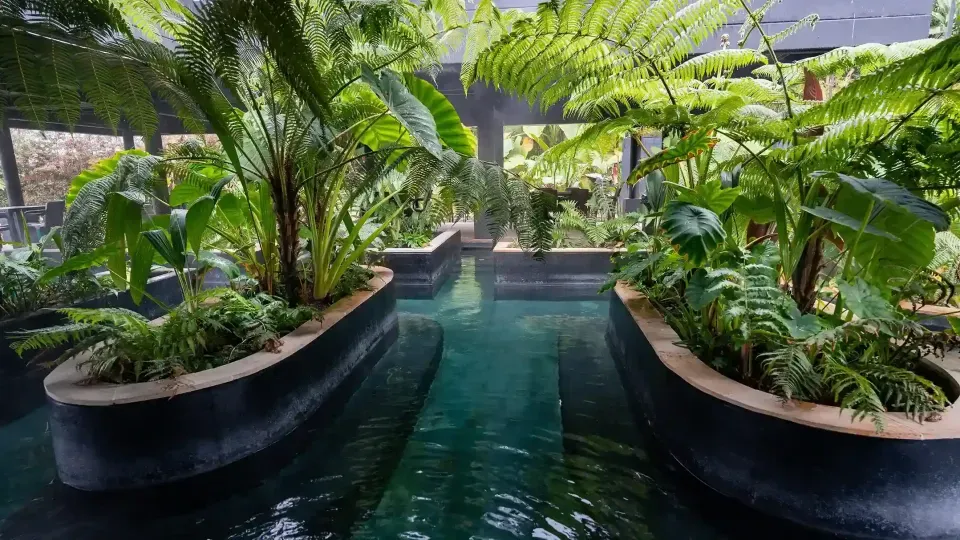 Thermal water channel surrounded by ferns and vegetation at Termales El Otoño, ideal for a spa day in Manizales.
