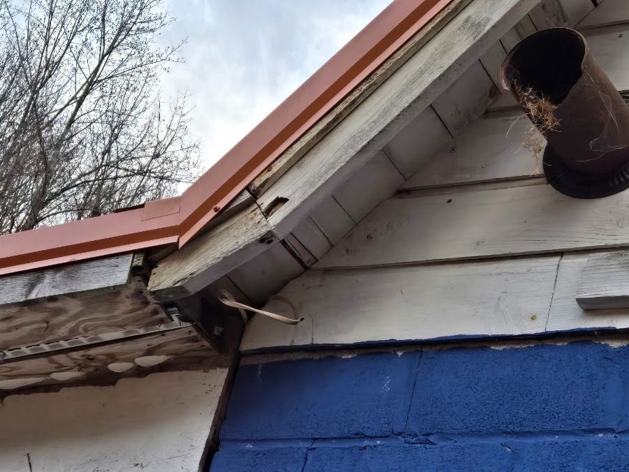 Damaged house roof edge with missing shingles, exposed wood, and a rusted vent pipe on blue siding