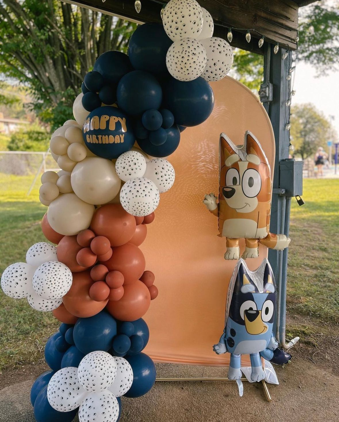 Balloon Arch, Balloon Decorations, Backdrops for rent, Wedding Arches for rent
