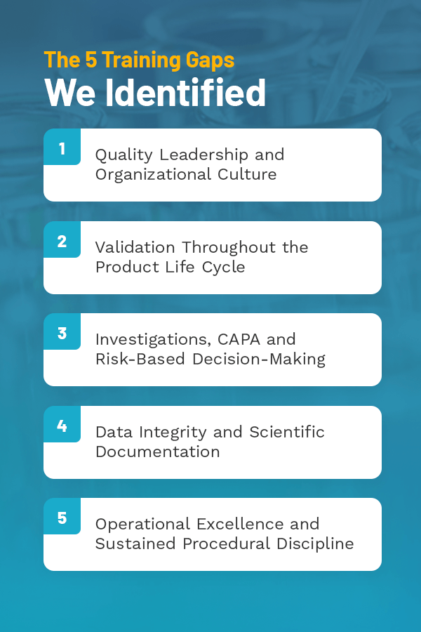 The 5 Training Gaps We Identified