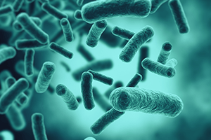 Coronavirus 2020: Everything Pharmaceutical Personnel Should Know