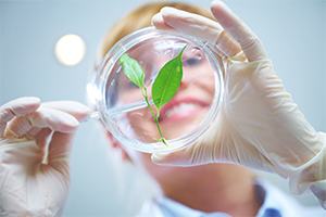 Coronavirus 2020: Everything Pharmaceutical Personnel Should Know