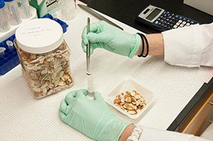 Coronavirus 2020: Everything Pharmaceutical Personnel Should Know