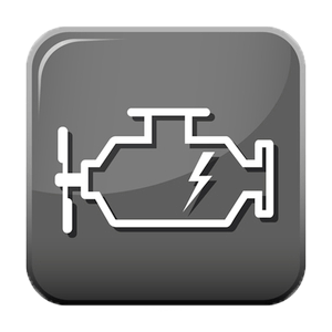 Professional engine repair