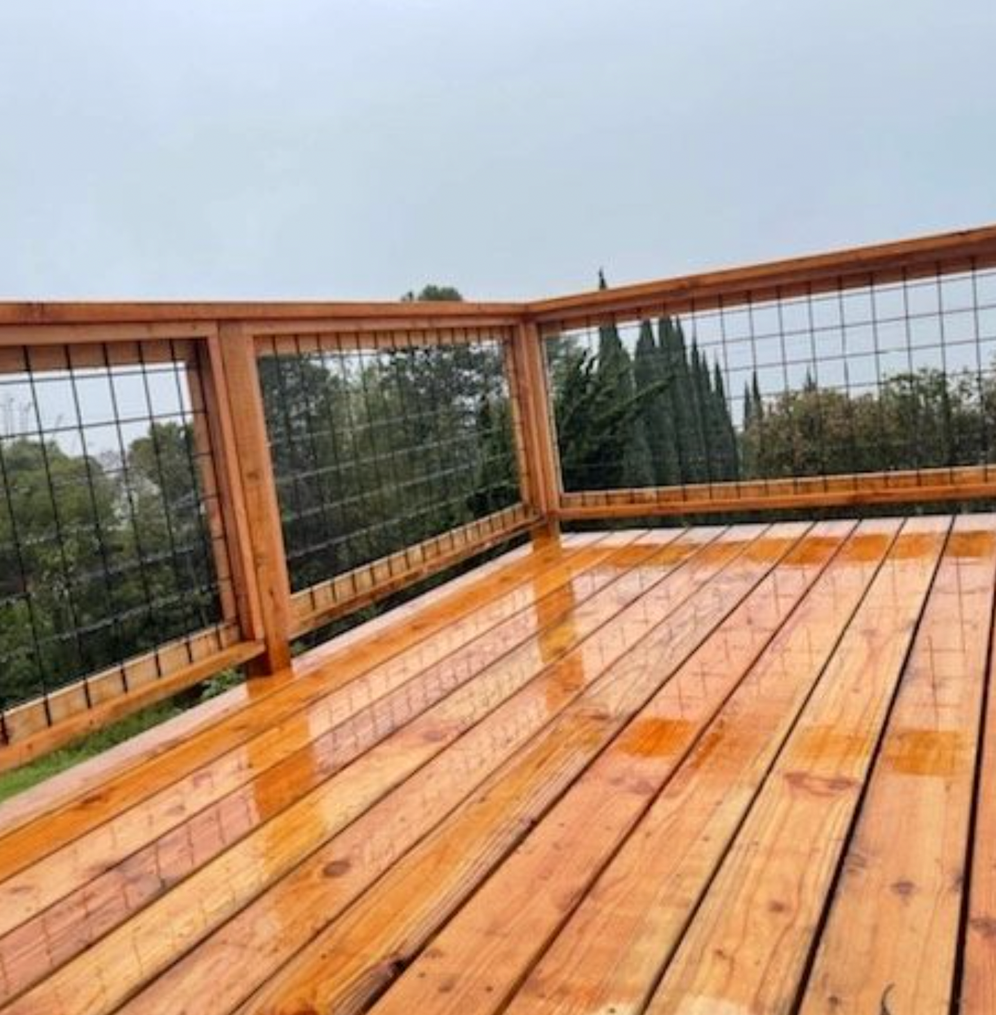 Wet wooden deck with railing and forest view under an overcast sky