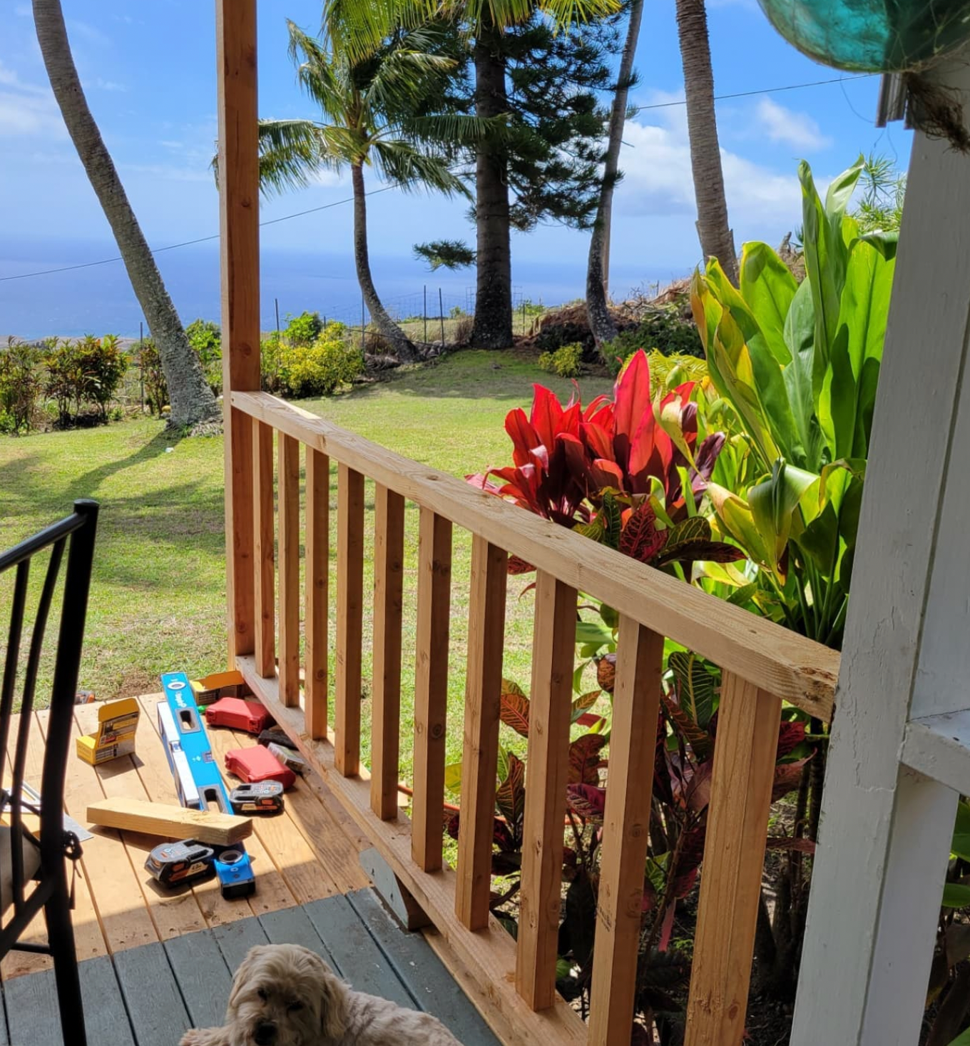 Sunny porch with scattered shoes and a small dog, overlooking a tropical yard and ocean view