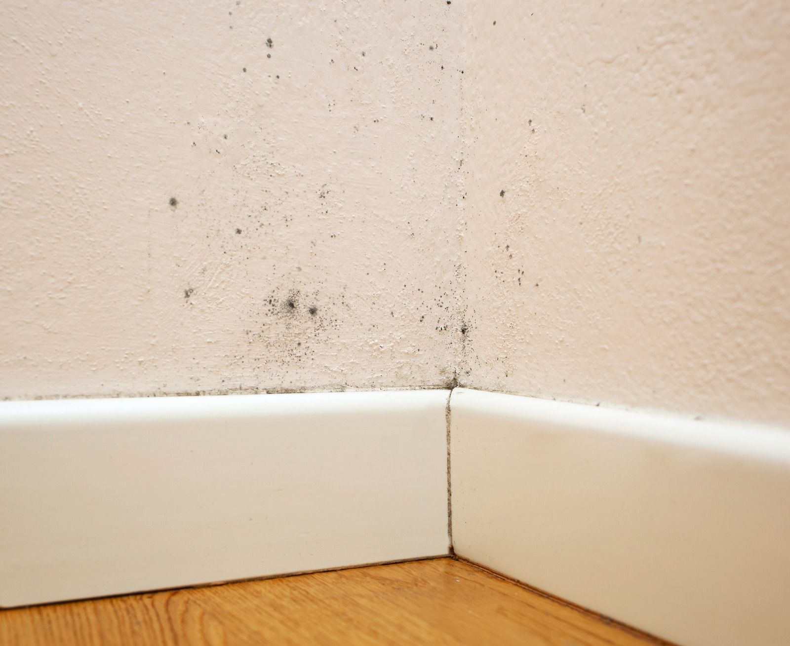 White baseboard meeting a beige wall corner with small dark spots and floor molding.