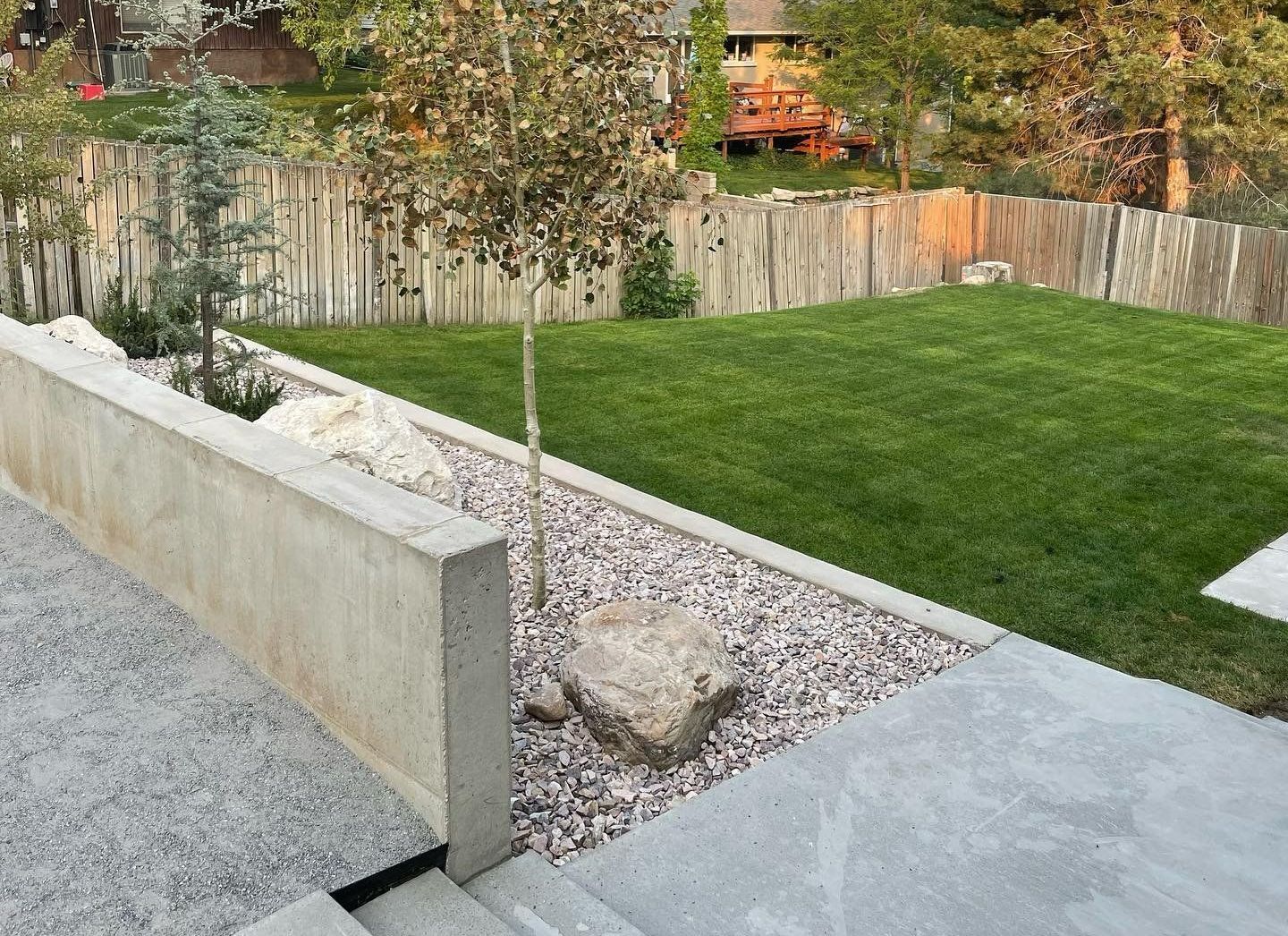 A lush green lawn with a wooden fence in the background