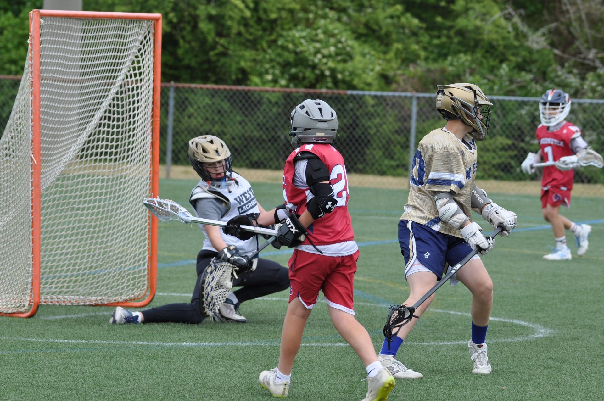 Lacrosse players near the goal, with a goalie kneeling as one player shoots on a grassy field.