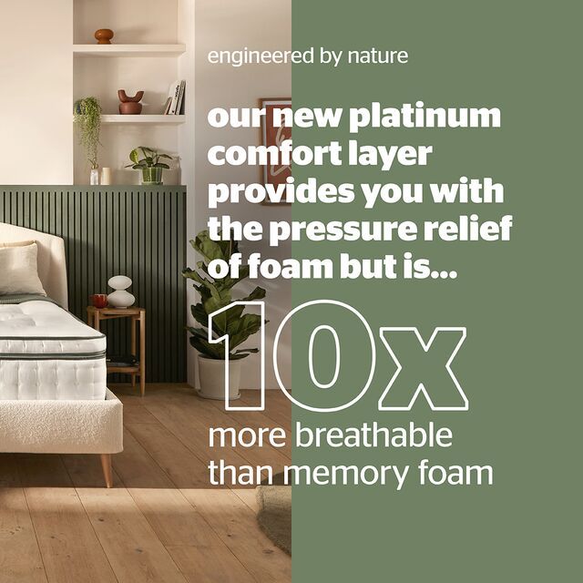 Plant Based Vegan Bed at Bradford's in Evesham