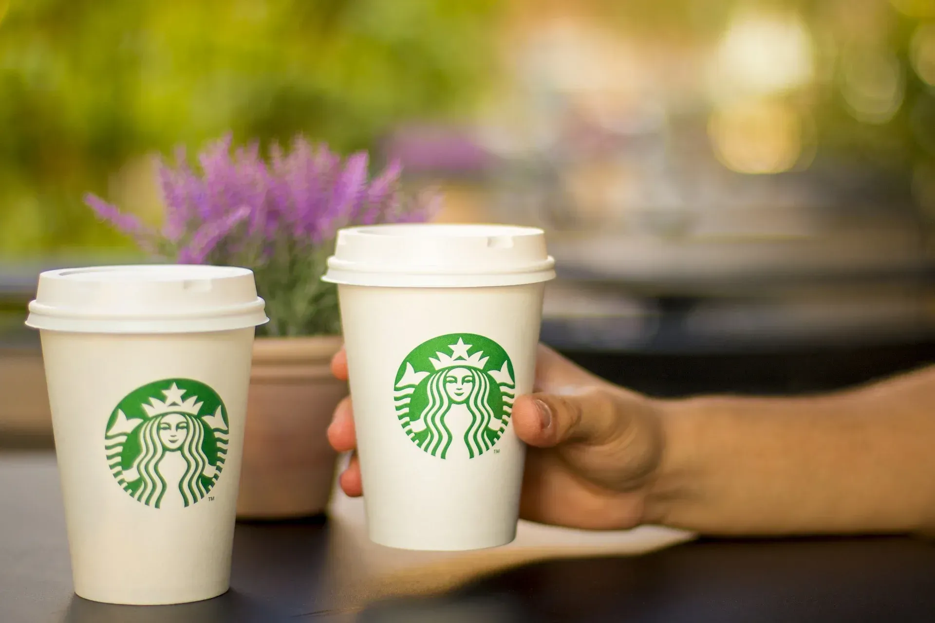 A person is holding two starbucks cups in their hands.