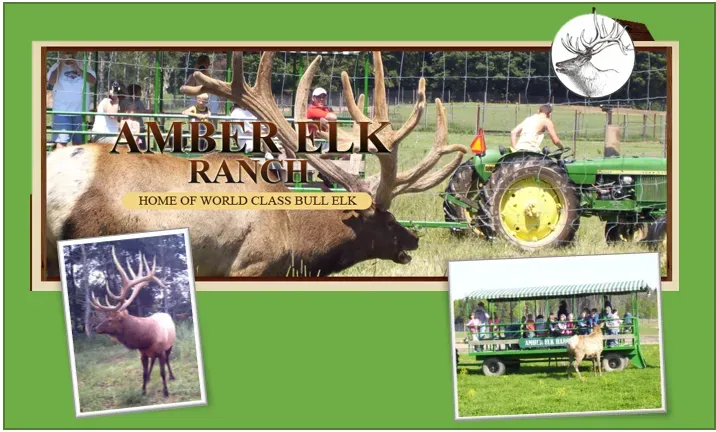 A poster for amber elk ranch shows a deer and a tractor