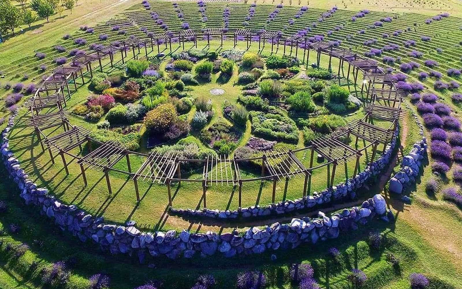 An aerial view of a circular garden surrounded by purple flowers.