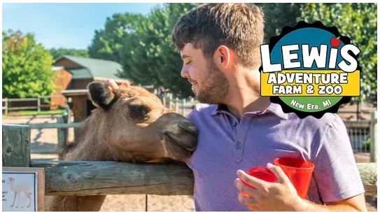 A man is petting a camel at lewis adventure farm and zoo.