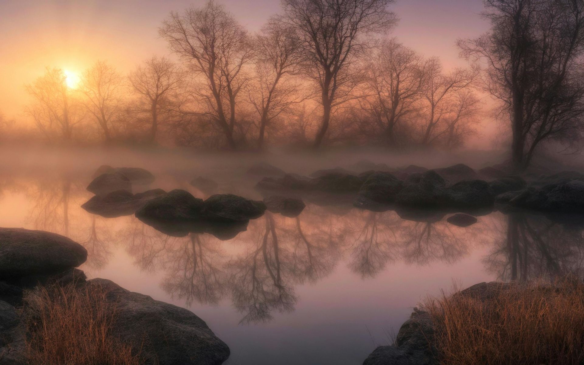 The sun is setting over a foggy lake with trees reflected in the water.