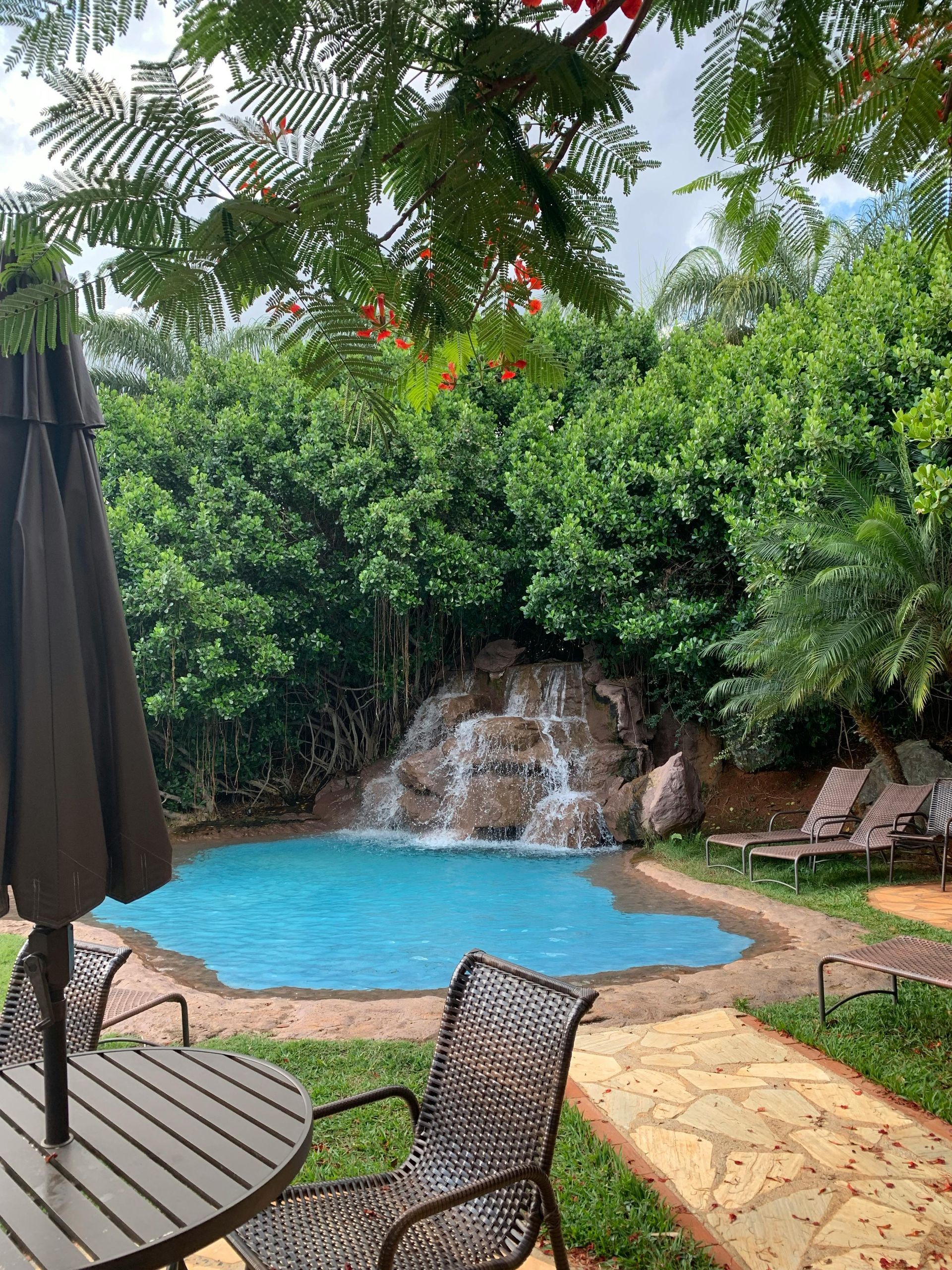 A pool with a waterfall surrounded by lush green trees. Brown chairs and a table are in the foreground.