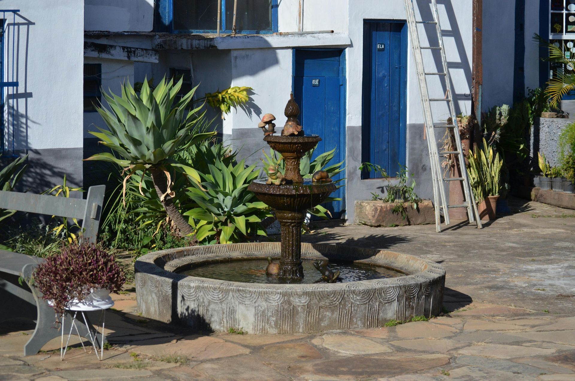 A courtyard with a stone fountain, blue door, aloe plants, and a wooden ladder.