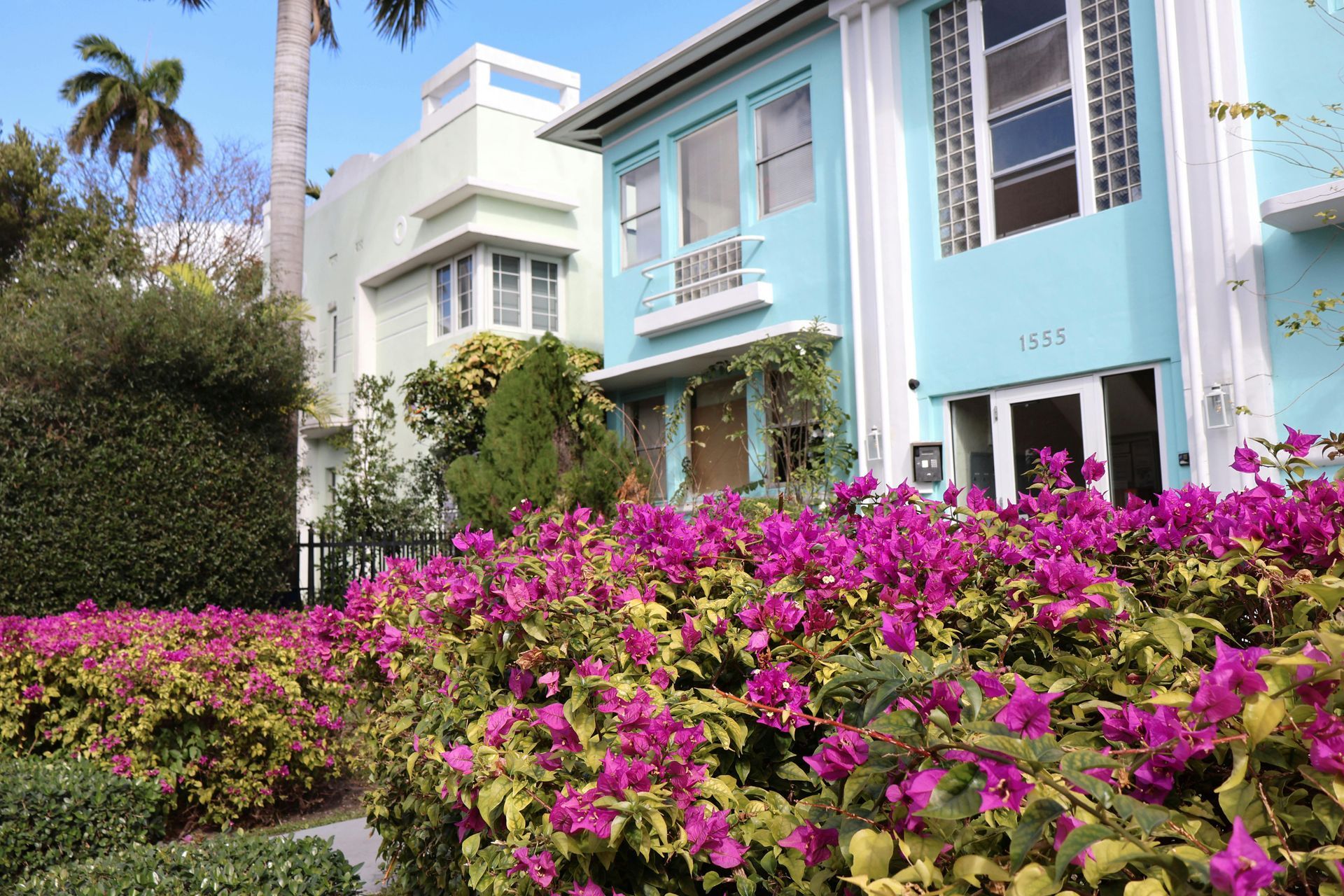 Blue and light green buildings with pink bougainvillea bushes in front. Palm tree visible.