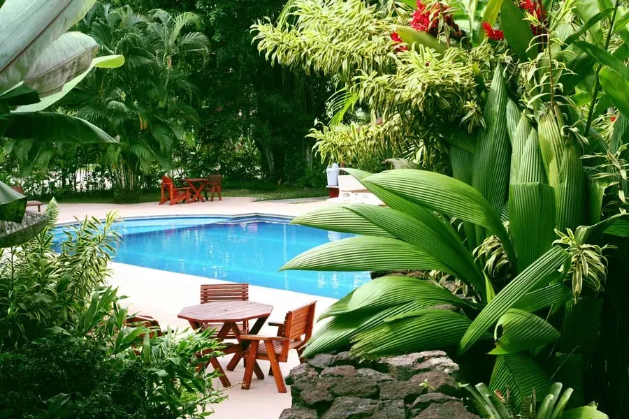 Swimming pool surrounded by lush green tropical plants, wooden furniture, and red flowers.