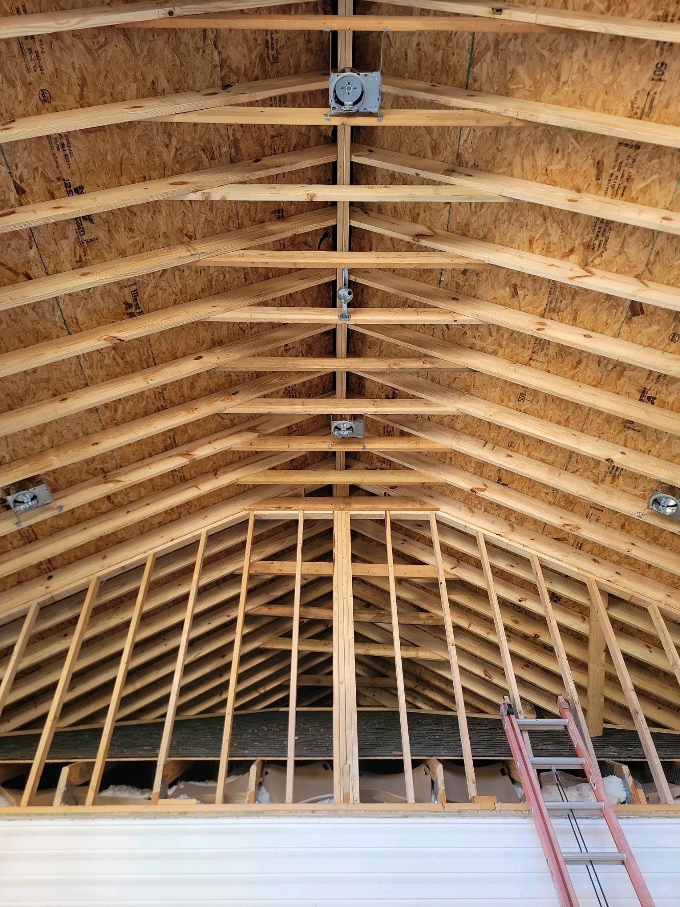 Interior attic with exposed wooden roof trusses and a ladder leaning at the lower right.