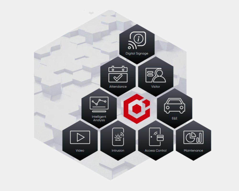 Managed Security Service