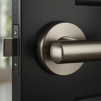 Close-up of a silver door handle on a black door
