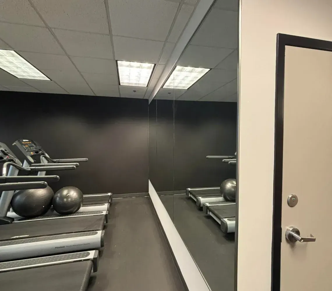 Gym interior with treadmills, exercise balls, and a wall mirror next to a closed door.