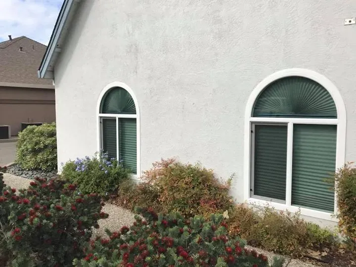 Two arched-top windows with green shades on a stucco house, surrounded by bushes and flowers.