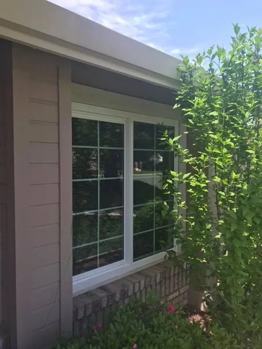 White-framed window on a building with beige siding. Green foliage on the right, brick at the base.