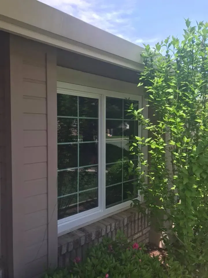 White-framed window with grid, tan siding, and green bush on the right side of a house.