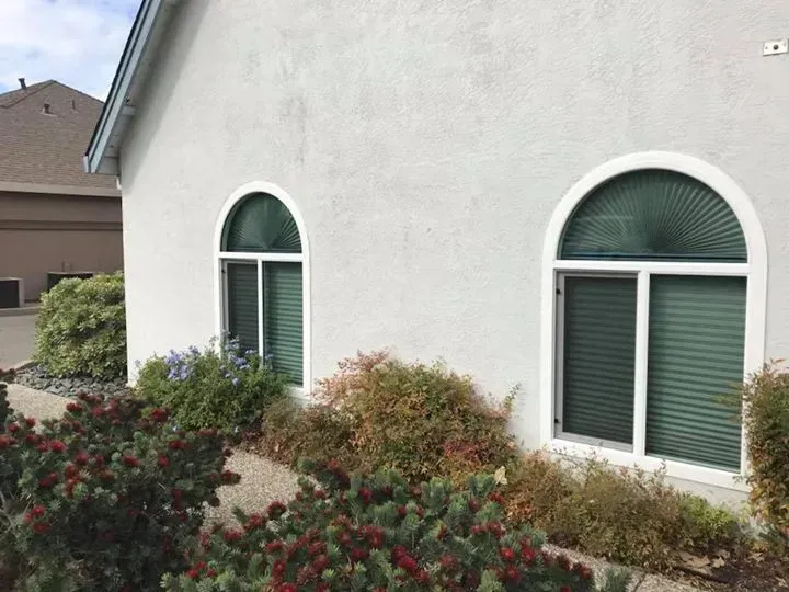 Two arched-top windows with green blinds on a stucco building surrounded by shrubs and landscaping.