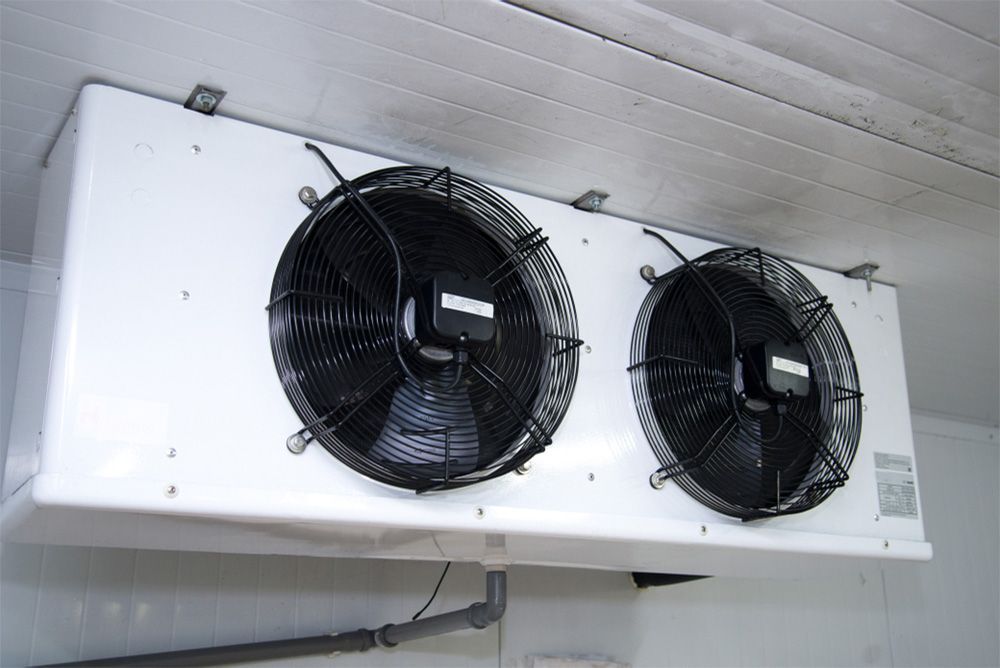 Two fans are hanging from the ceiling of a room