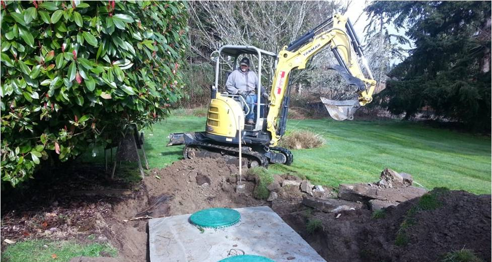 A yellow mini excavator operating in a grassy yard to dig around a concrete septic tank with two green access lids.