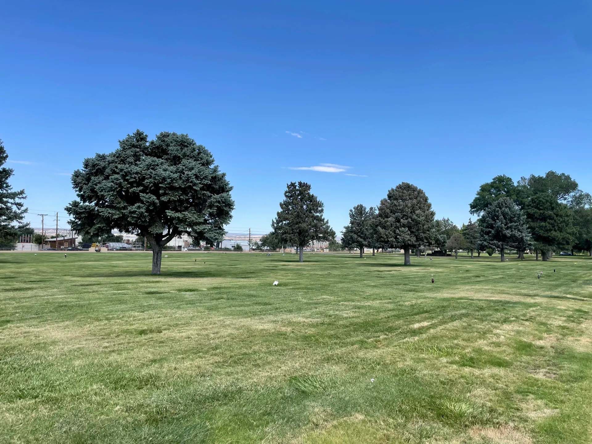 Grassy park with trees under a blue sky; industrial buildings in the distance.