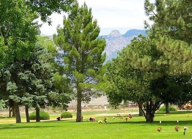 Green trees and grass in a sunny park; mountains in the background.
