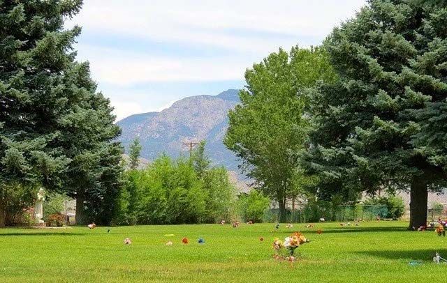 Green, grassy cemetery with trees and a mountain in the background. Bright sky.