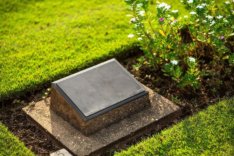 Grave marker in a grassy plot with a small plant.