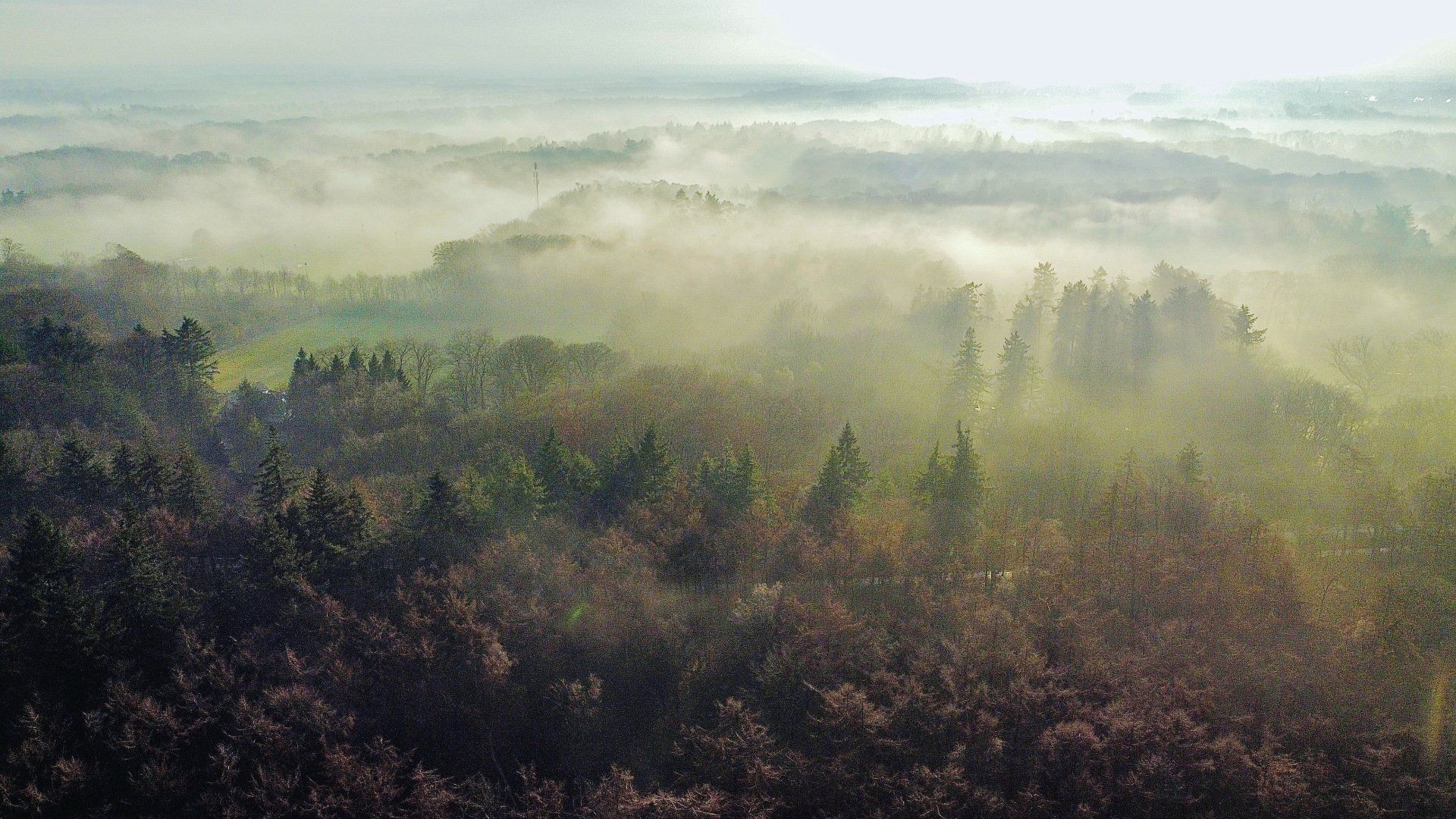 drone foto zee