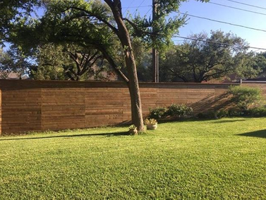 A large lawn with a wooden fence and a tree in the foreground.