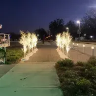 Lit walkway at dusk with glowing white light sculptures and shrubs along the path