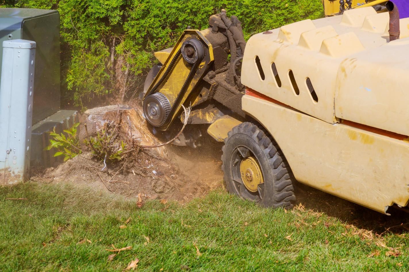 Yellow stump grinder grinding a tree stump in a grassy area, creating wood chips.