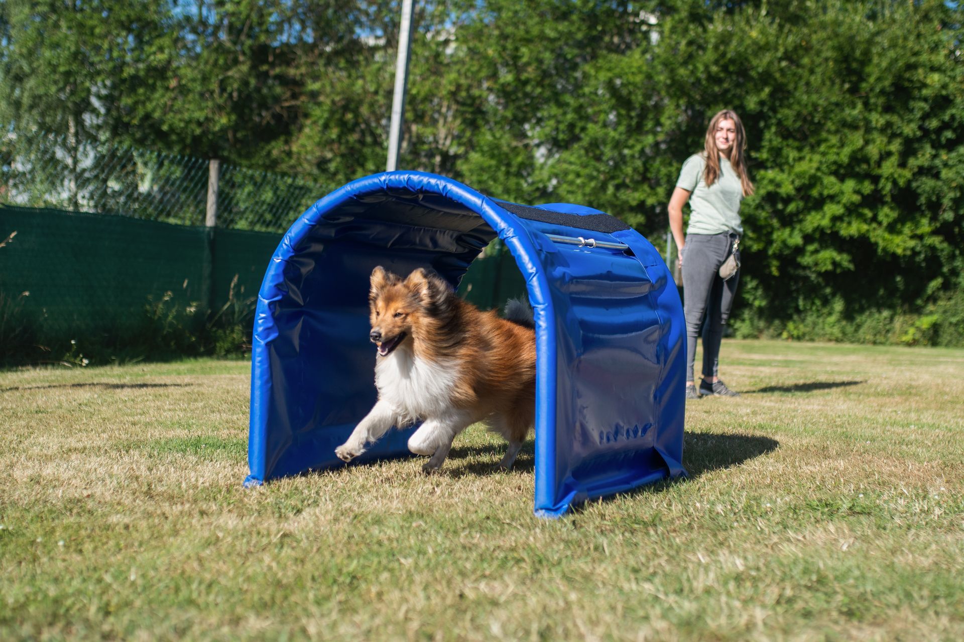 Frau mit ihrem Hund im Hoopers Parcours, Hund rennt durch einen Tunnel