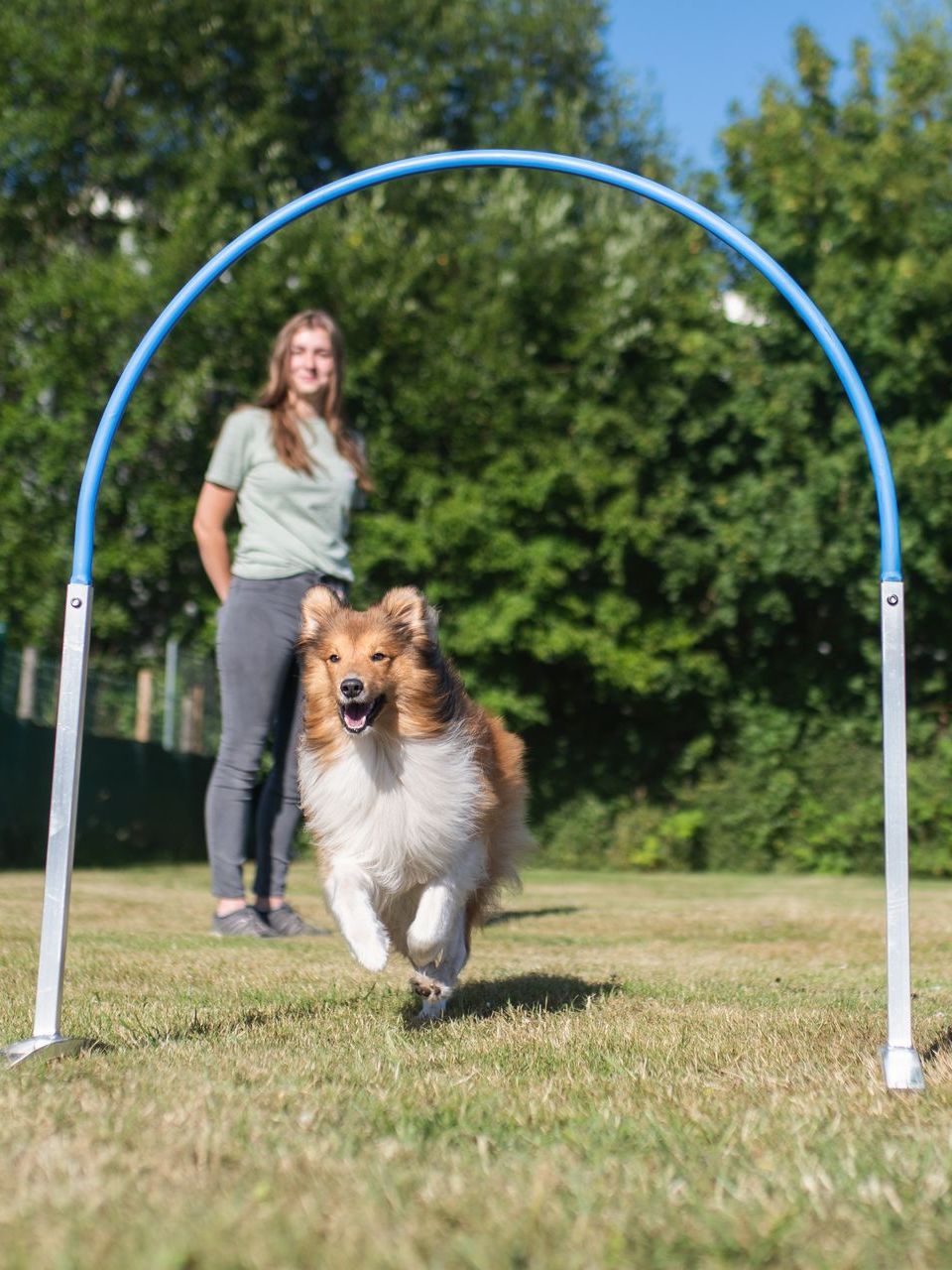 Frau mit ihrem Hund im Hoopers Parcours, Hund rennt durch einen Hoop