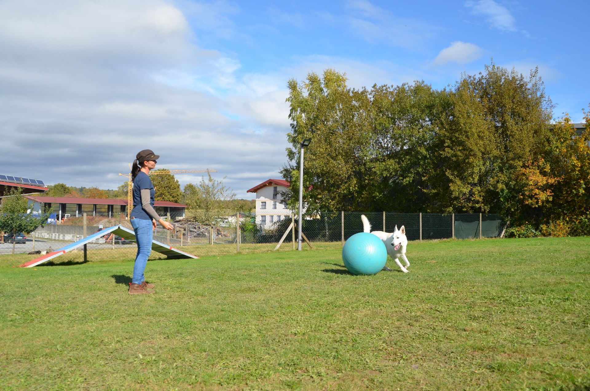 Ramona Houscht und Schäferhund Jimmy bei einer Treibball Übung