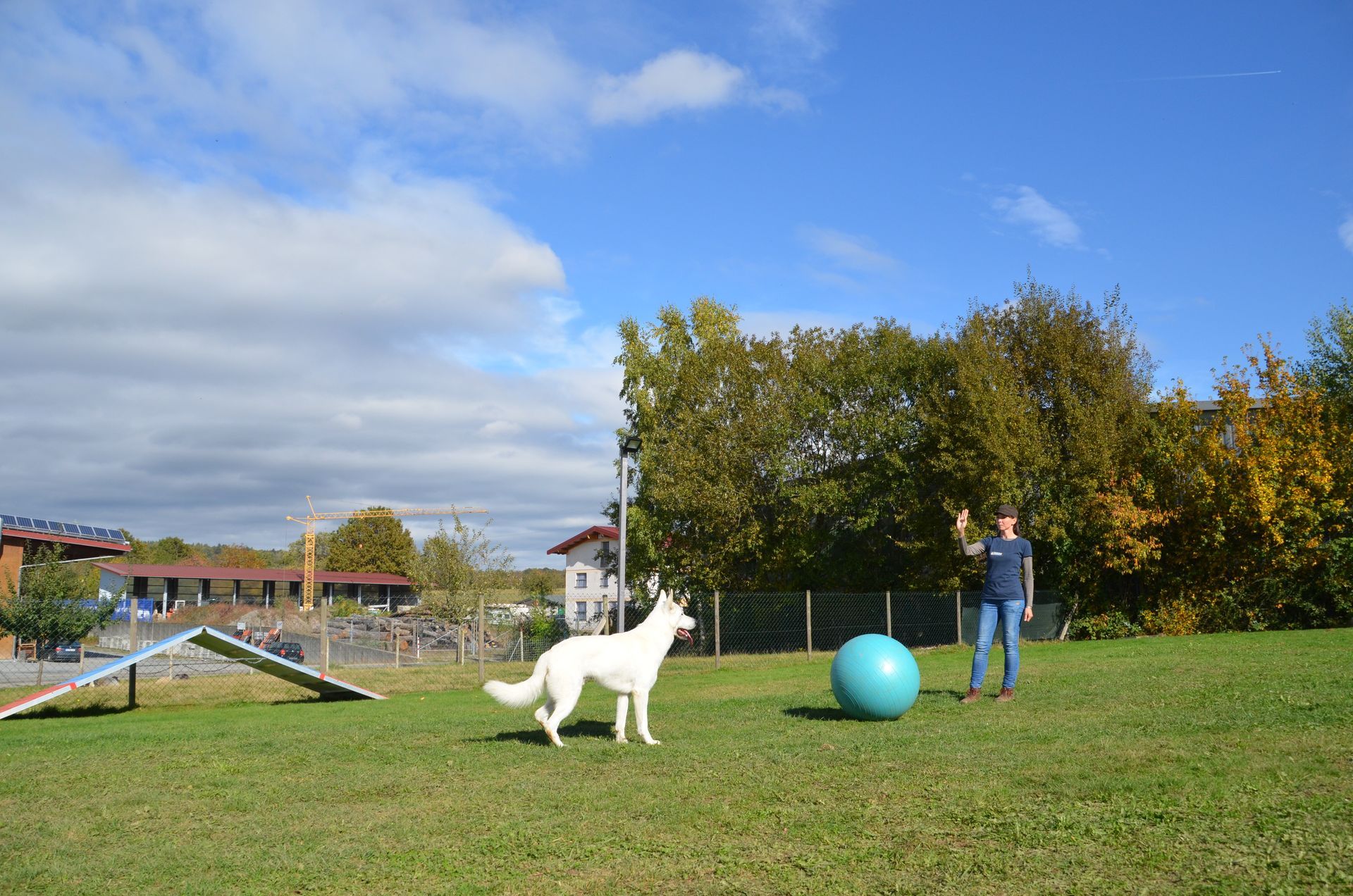 Ramona Houscht und Schäferhund Jimmy bei einer Treibball Übung