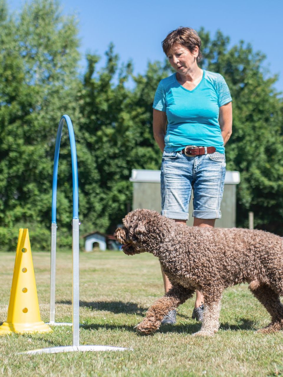 Frau mit ihrem Hund im Hoopers Parcours an einem Hoop